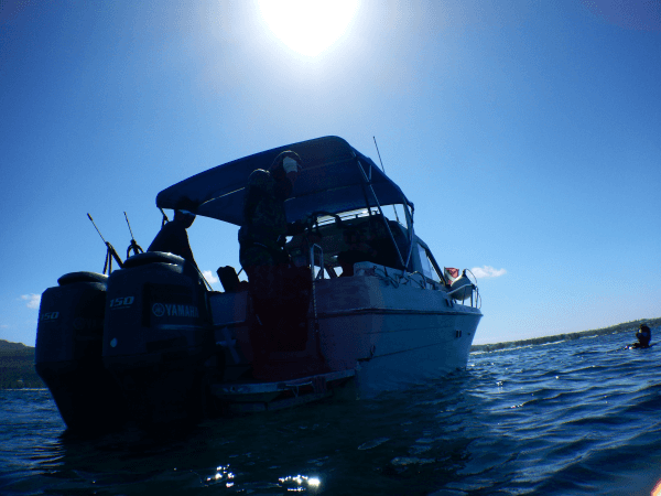 Boat Fee