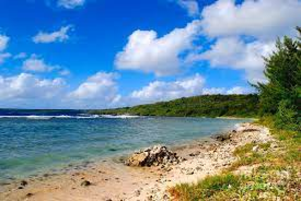 Local Spearfishing Intro-Lesson Lau Intro - 1 Pax Tours / Lessons
