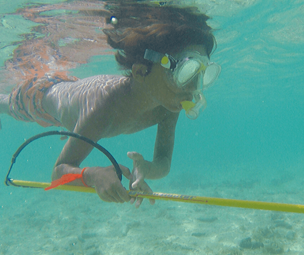 Local Spearfishing Intro-Lesson Pau Intro - 1 Pax Tours / Lessons