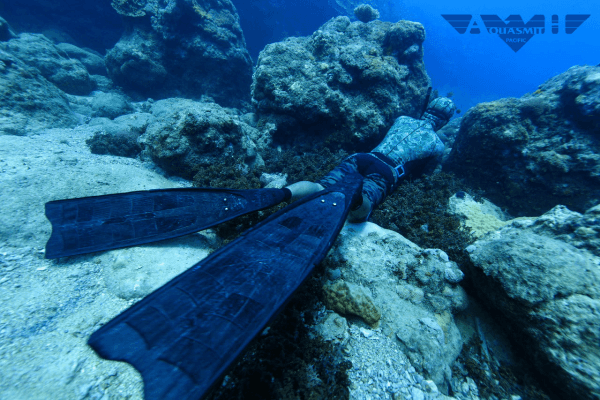 Spearfishing Lessons Level 3 Tours /