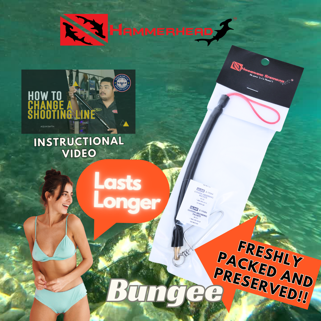 HammerHead Standard Bungee w/Snap + Instructional Video