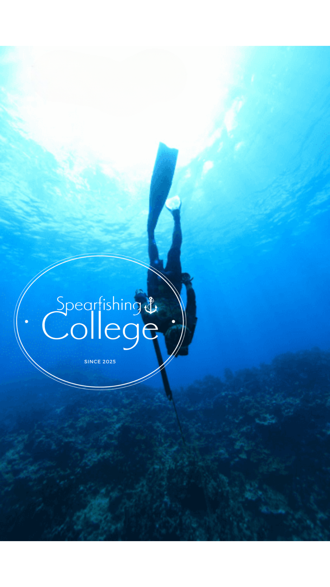 Private Spearfishing College Courses