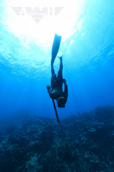 Local Spearfishing Tour Tours / Lessons