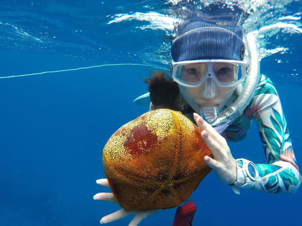 Local Spearfishing Tour Tours / Lessons