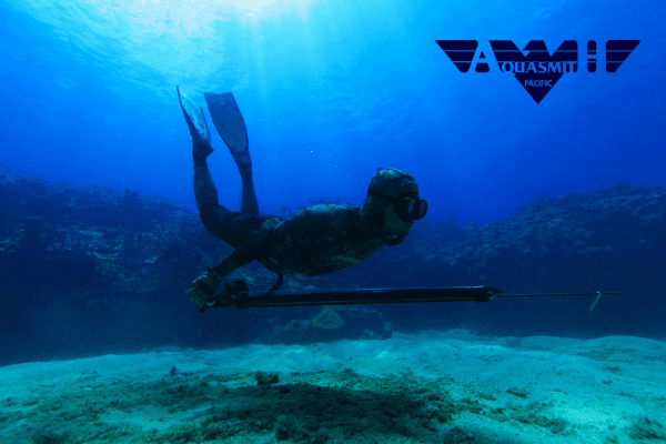 Local Spearfishing Tour Tours / Lessons