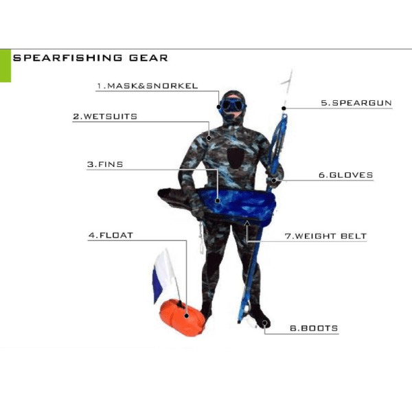 Local Spearfishing Lessons Tours /
