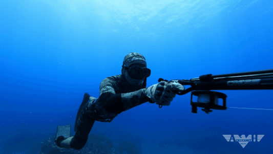 Local Spearfishing Tour Tours / Lessons